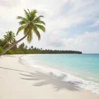 BMP image before conversion